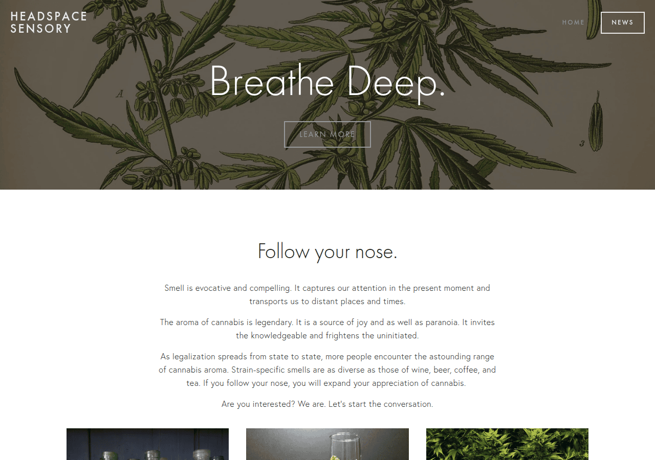 Screenshot of headspacesensory.com