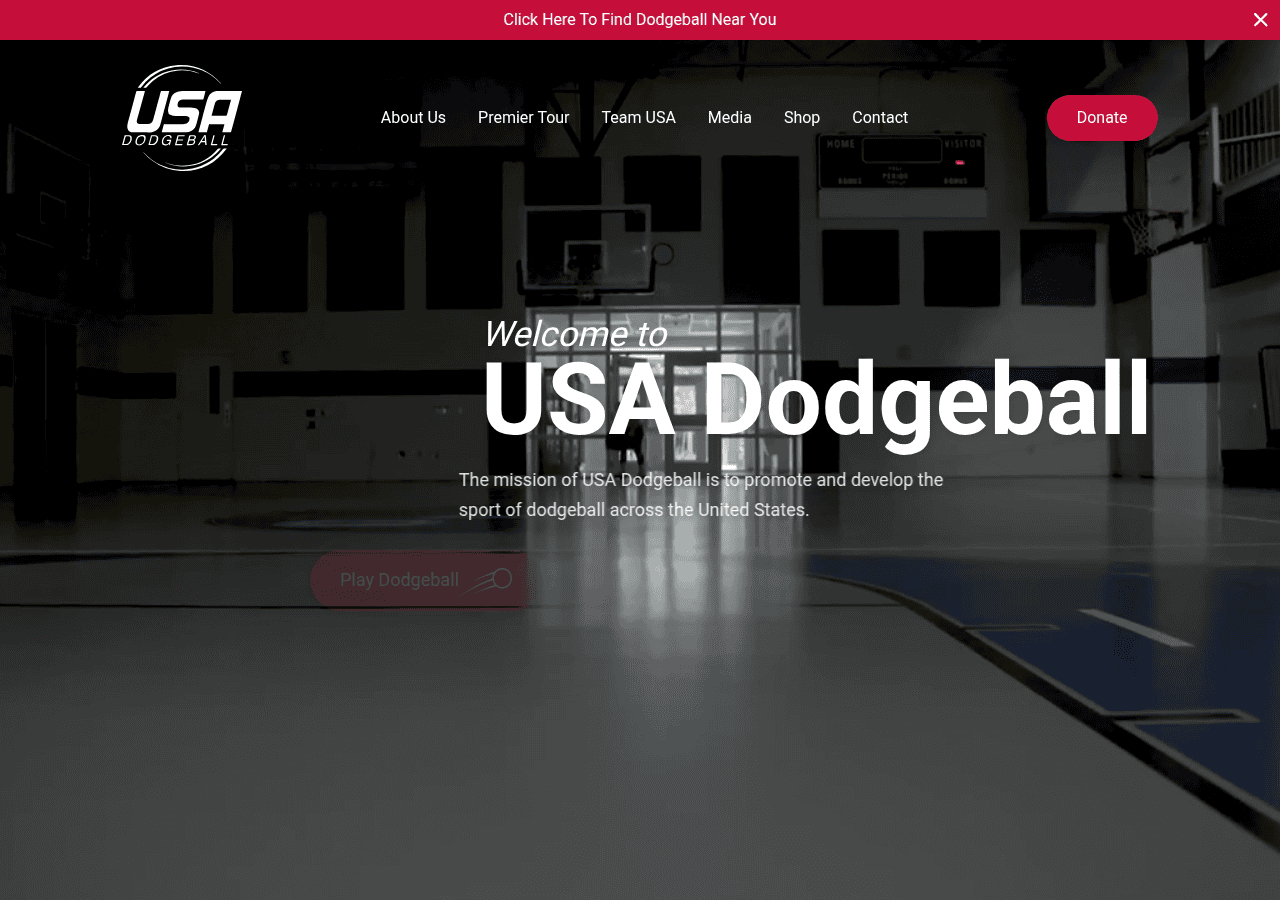 Screenshot of usadodgeball.com