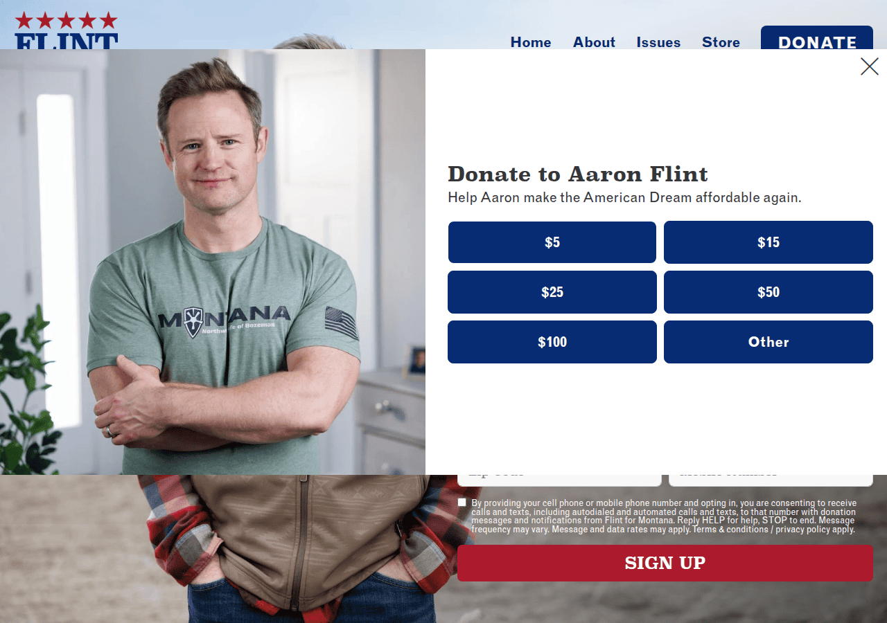 Screenshot of flintformontana.com