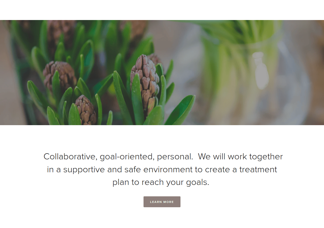 Screenshot of marafleischer.com