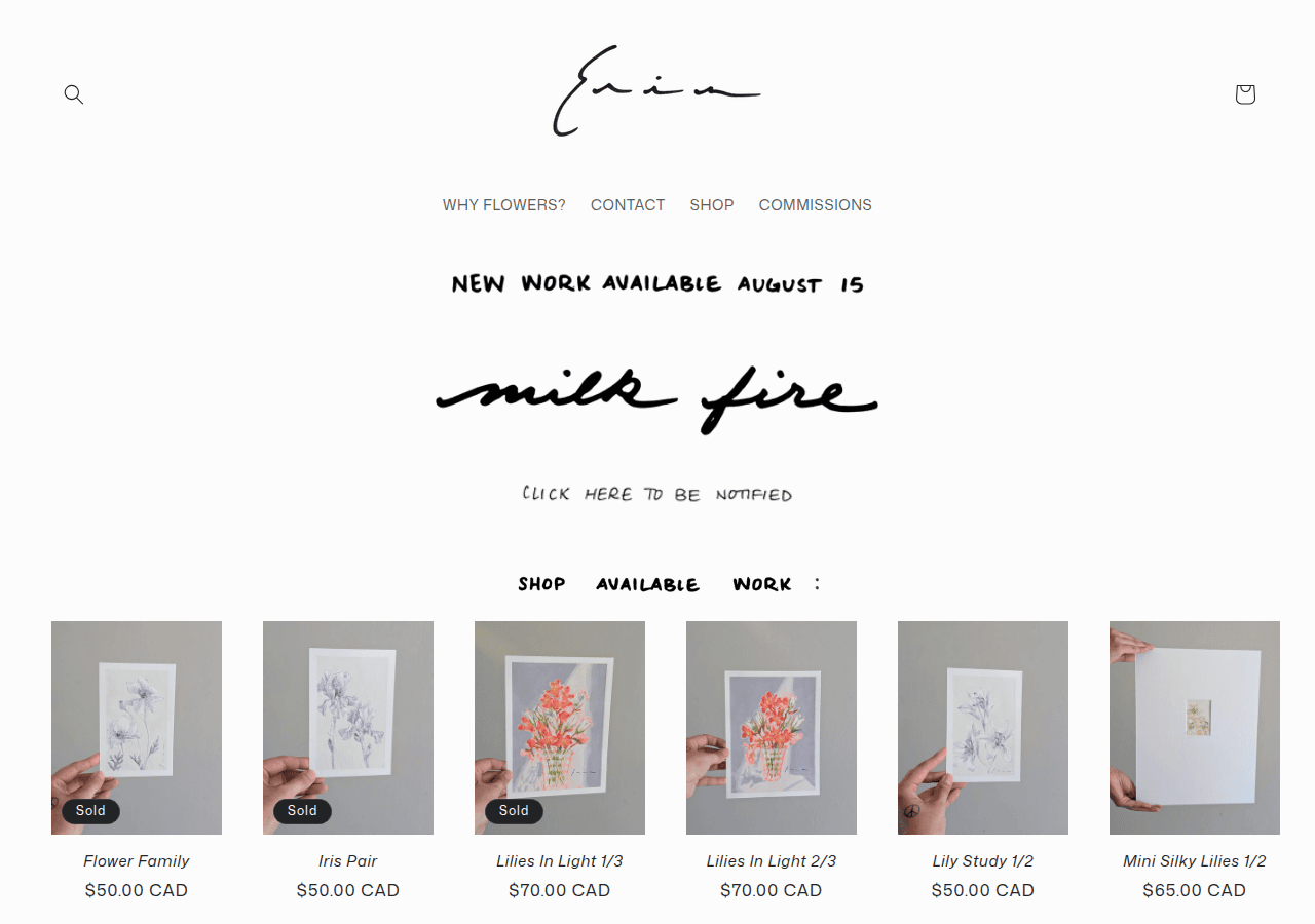 Screenshot of erinmurrayart.com