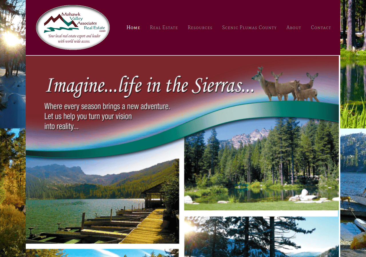 Screenshot of mohawkvalleyassociates.com