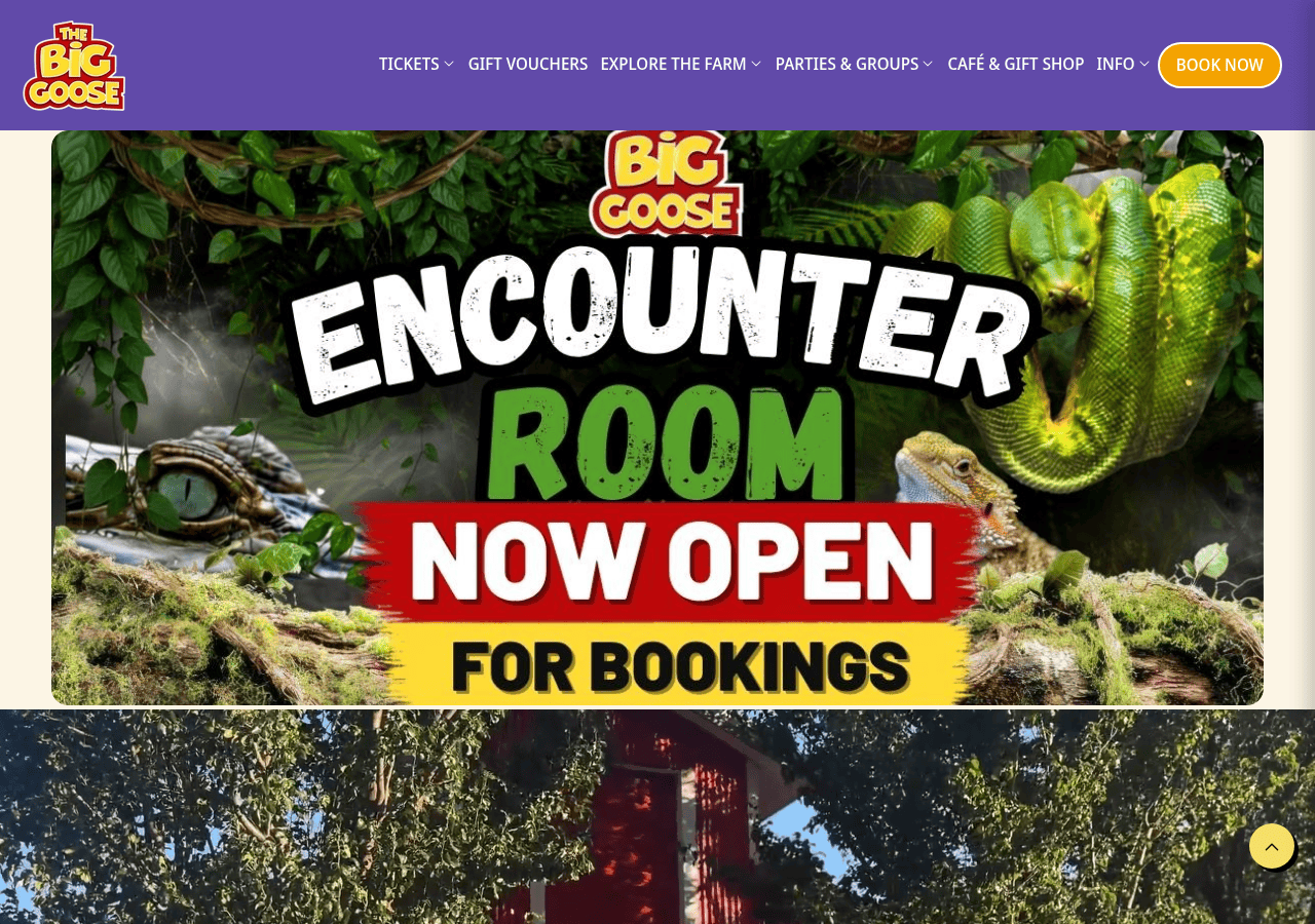 Screenshot of thebiggoose.com.au
