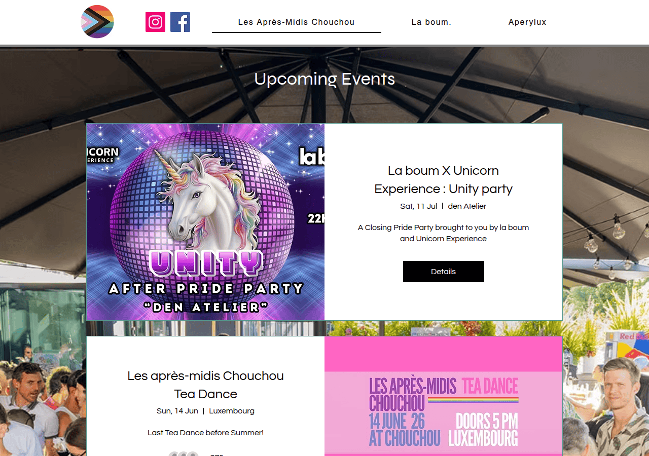 Screenshot of chouchou-teadance.com