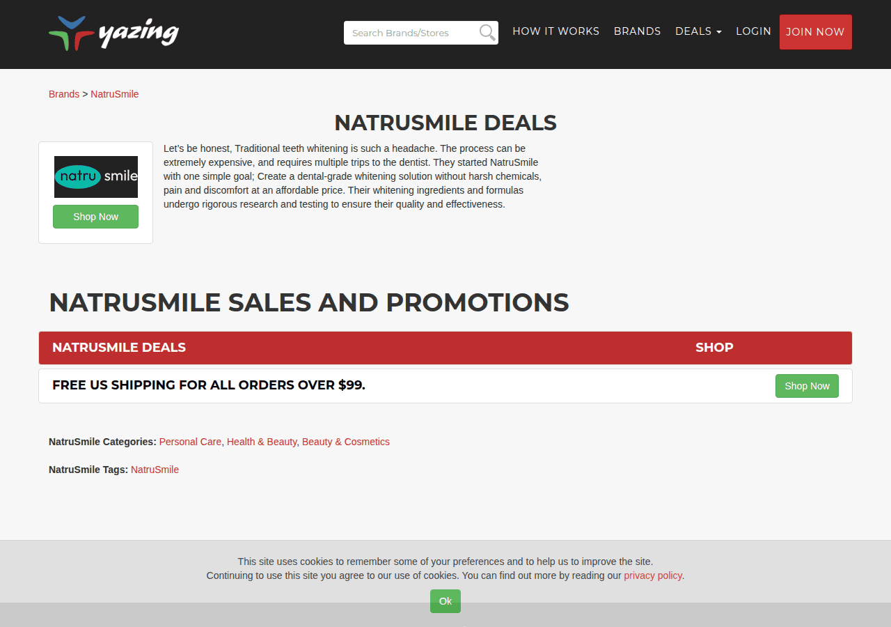 Screenshot of yazing.com