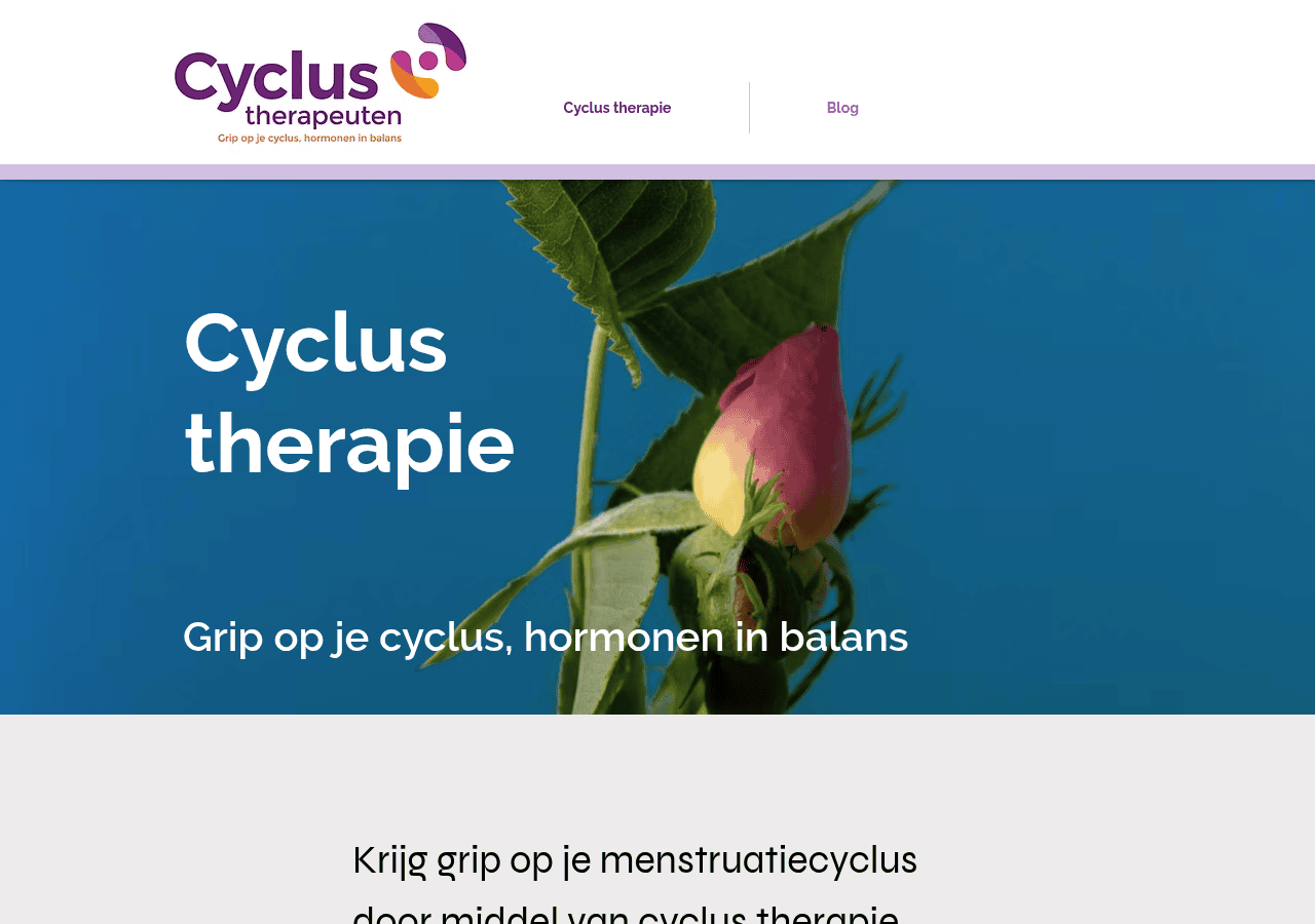 Screenshot of cyclustherapie.com