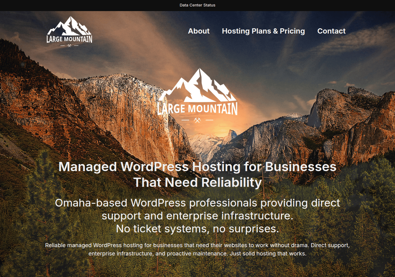 Screenshot of largemountain.com