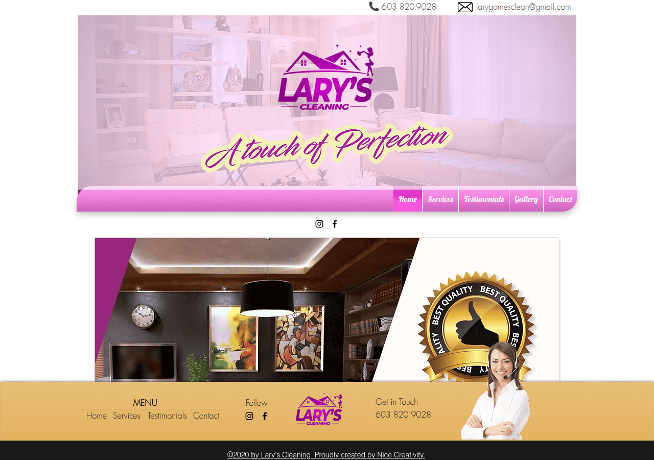 Screenshot of laryscleaning.com