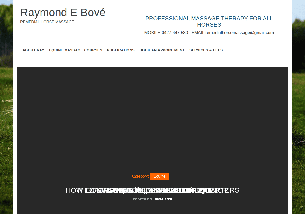 Screenshot of remedialhorsemassage.com