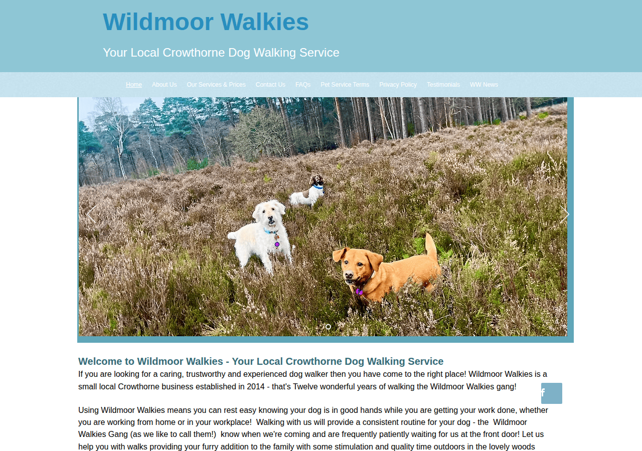 Screenshot of wildmoorwalkies.co.uk