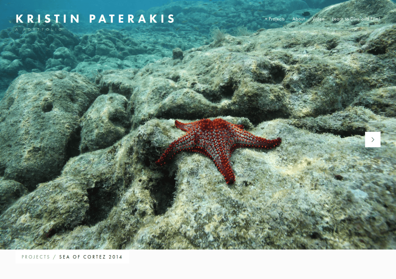 Screenshot of kikidives.com