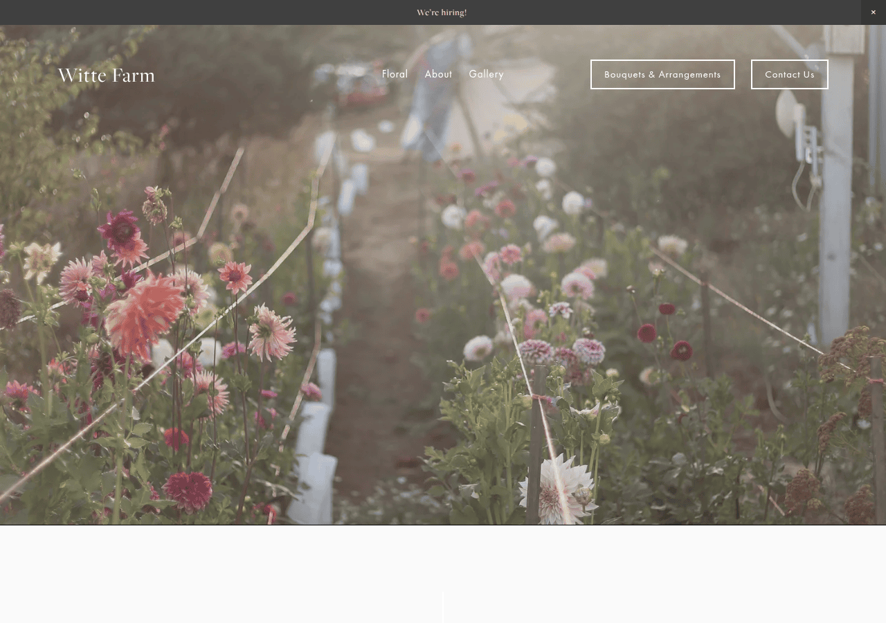 Screenshot of witteflowerfarm.com
