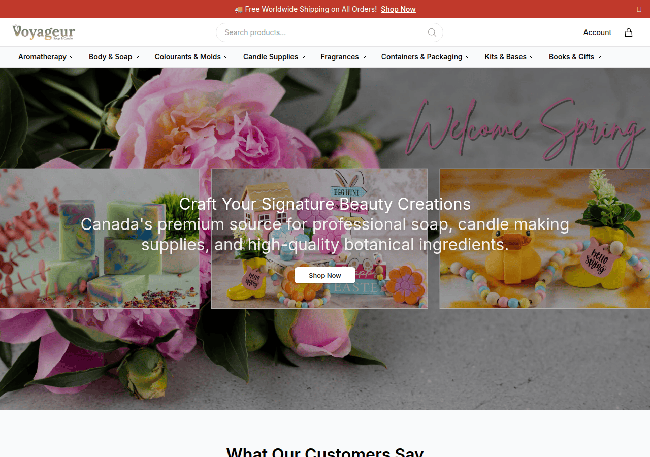 Screenshot of voyagepure.shop