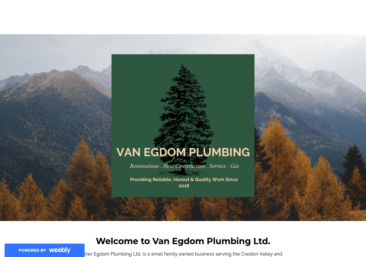 Screenshot of vanegdomplumbingandgas.com
