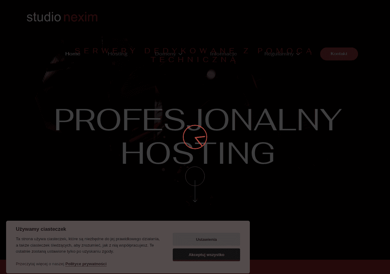 Screenshot of nexim.net
