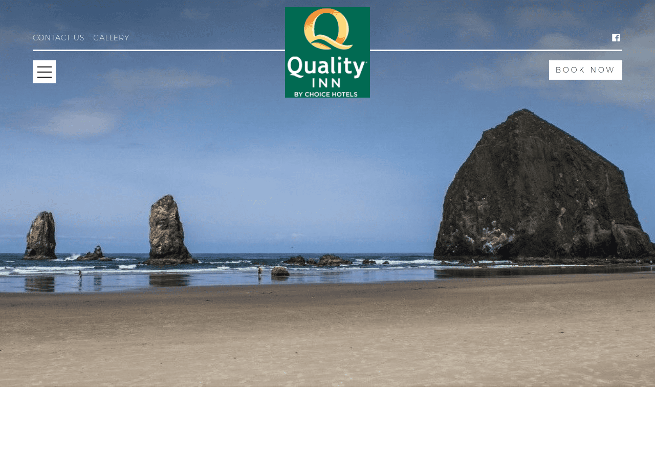 Screenshot of qualityinnseaside.com