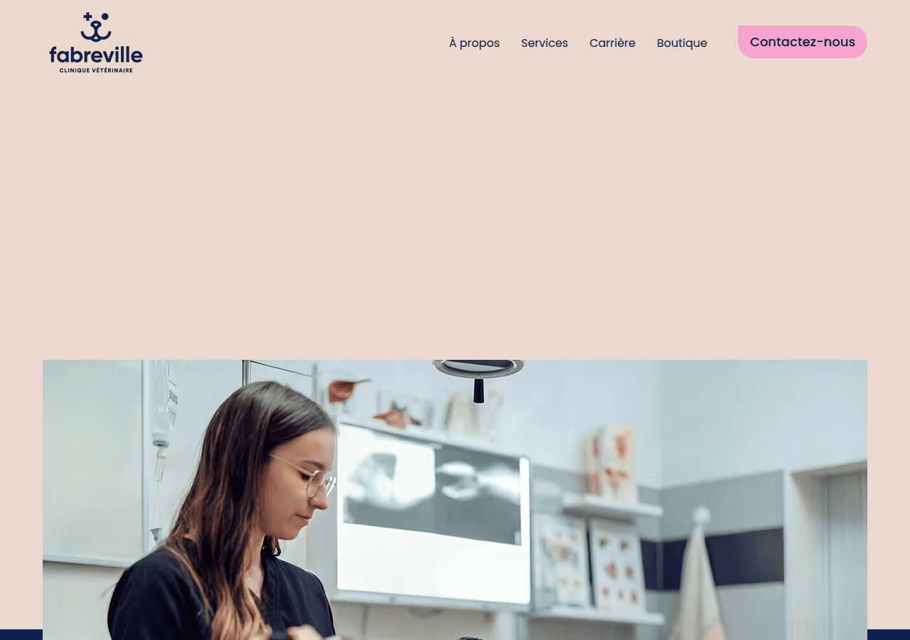 Screenshot of vetfabreville.ca