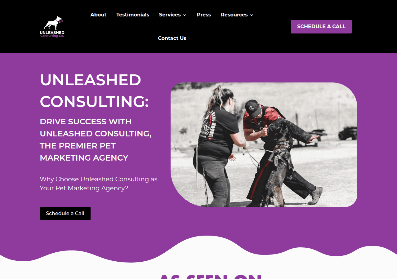 Screenshot of unleashedconsulting.com