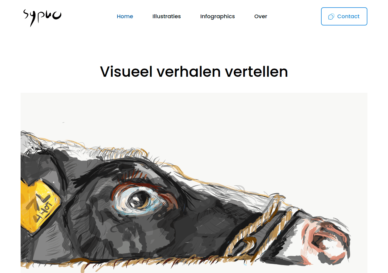 Screenshot of sypko.nl