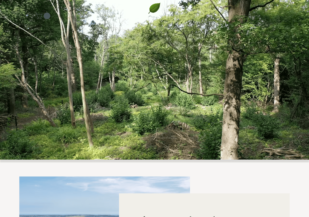 Screenshot of hatchpark.com