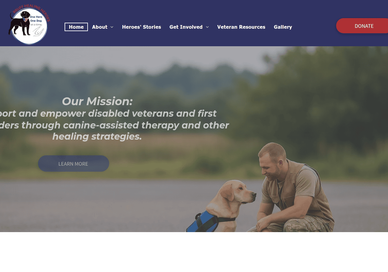 Screenshot of rruffhealingheroes.org
