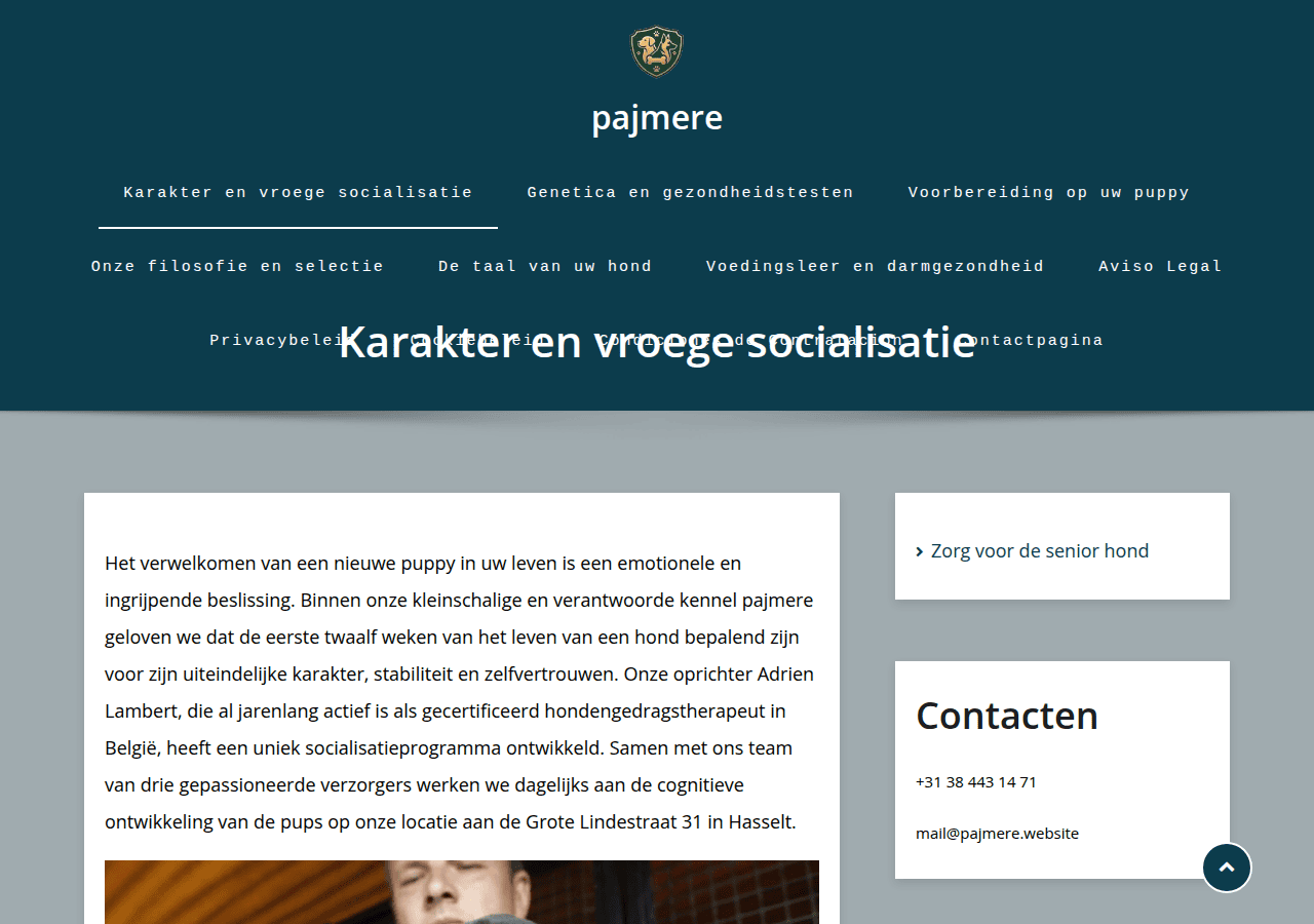 Screenshot of pajmere.website