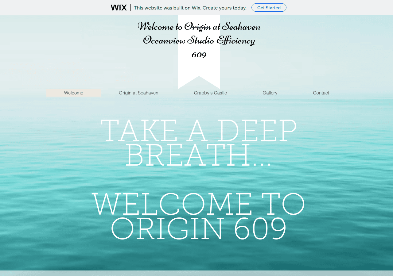 Screenshot of origin609.wixsite.com