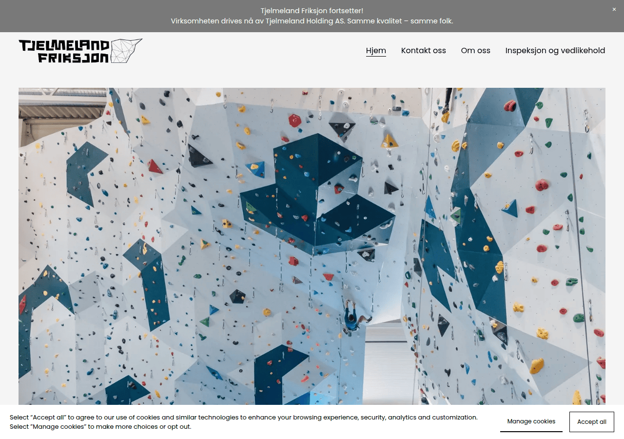 Screenshot of tjelmelandfriksjon.com