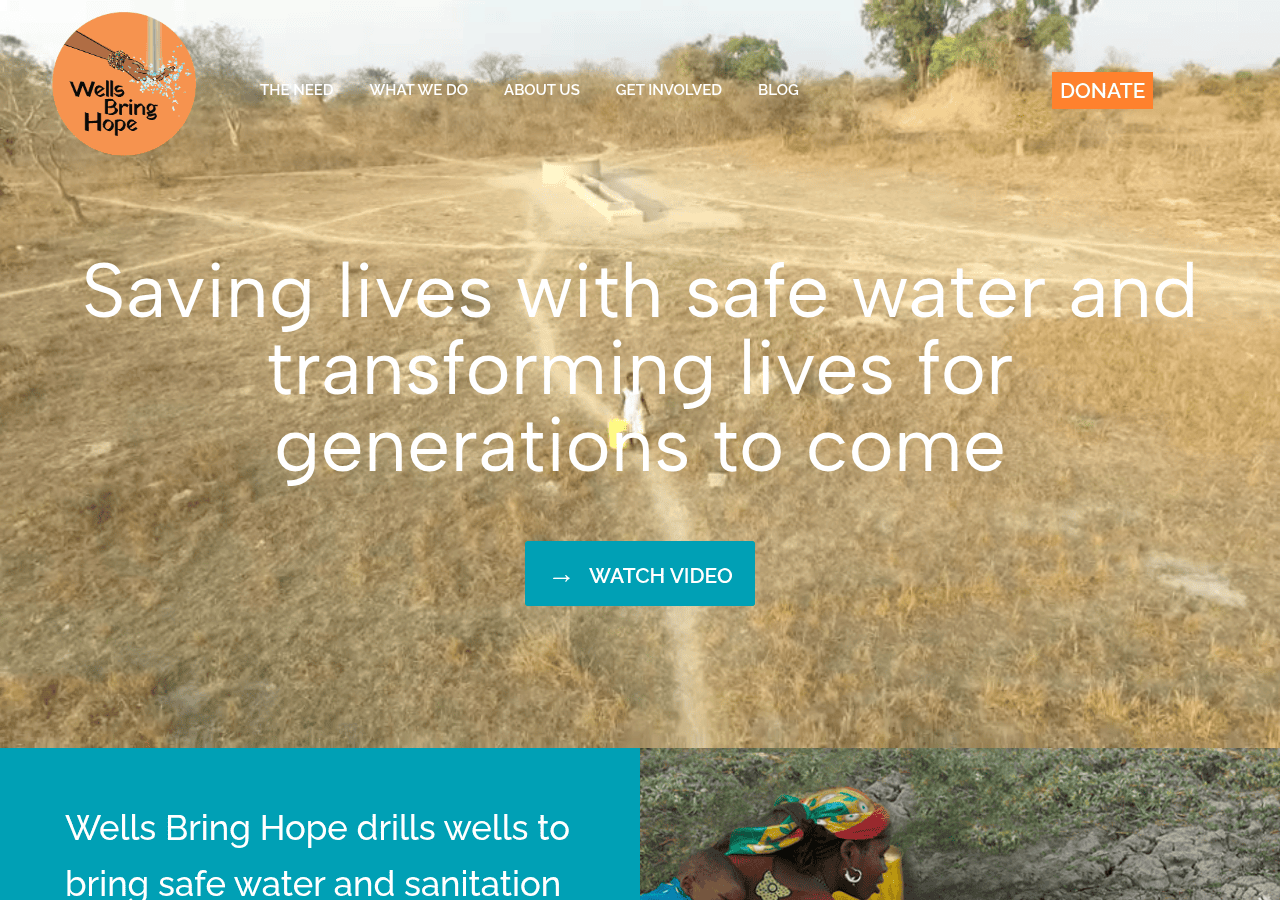 Screenshot of wellsbringhope.org