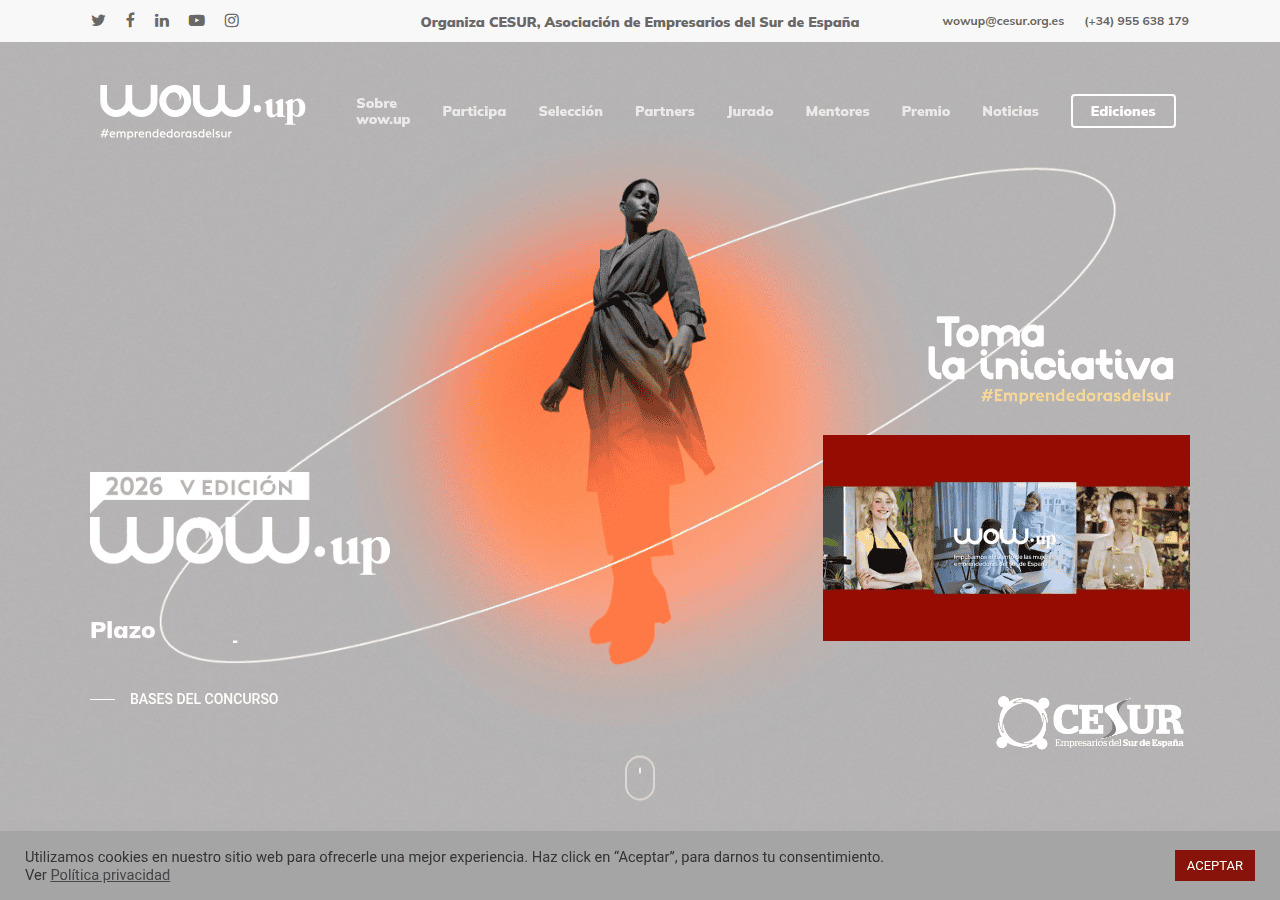 Screenshot of wowup.es