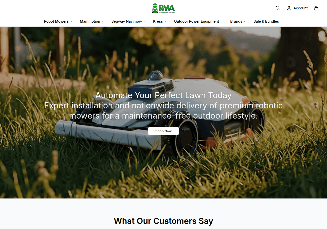 Screenshot of robmarket.shop