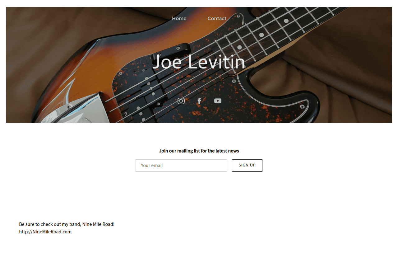 Screenshot of joelevitin.com