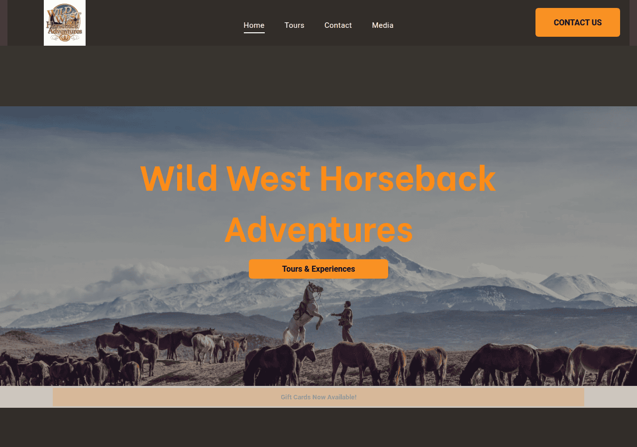 Screenshot of wildwesthorsebackadventures.com