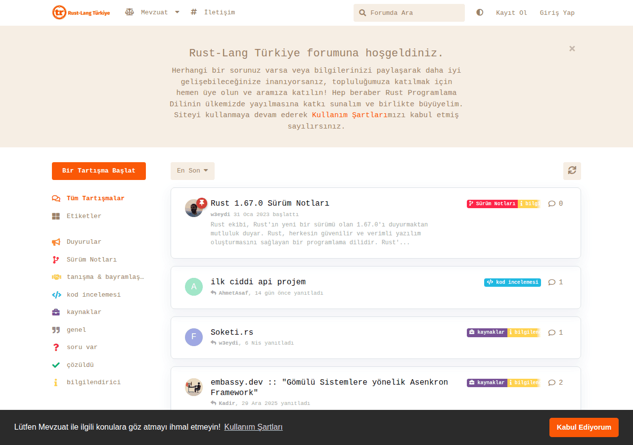 Screenshot of rust-langturkiye.com