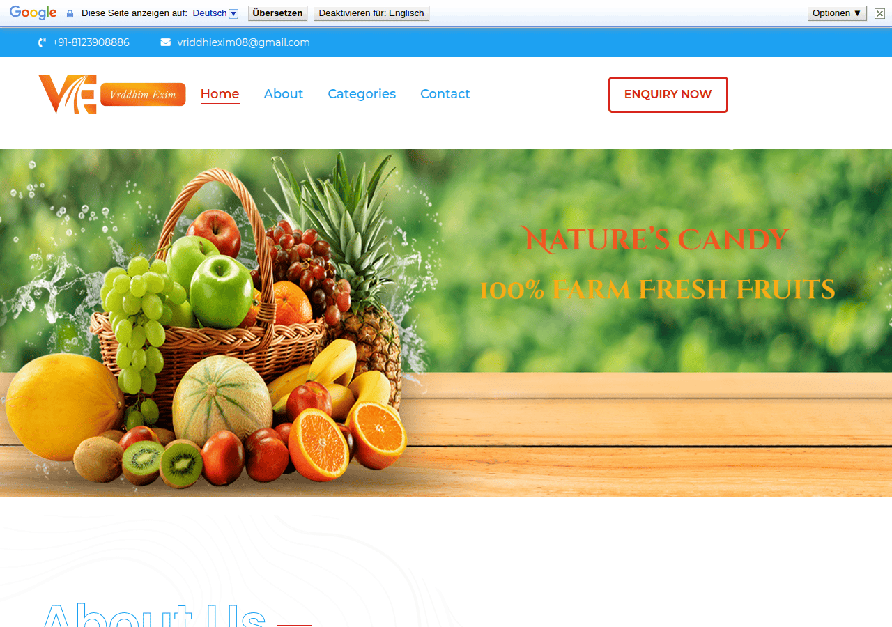 Screenshot of vriddhimexim.co.in