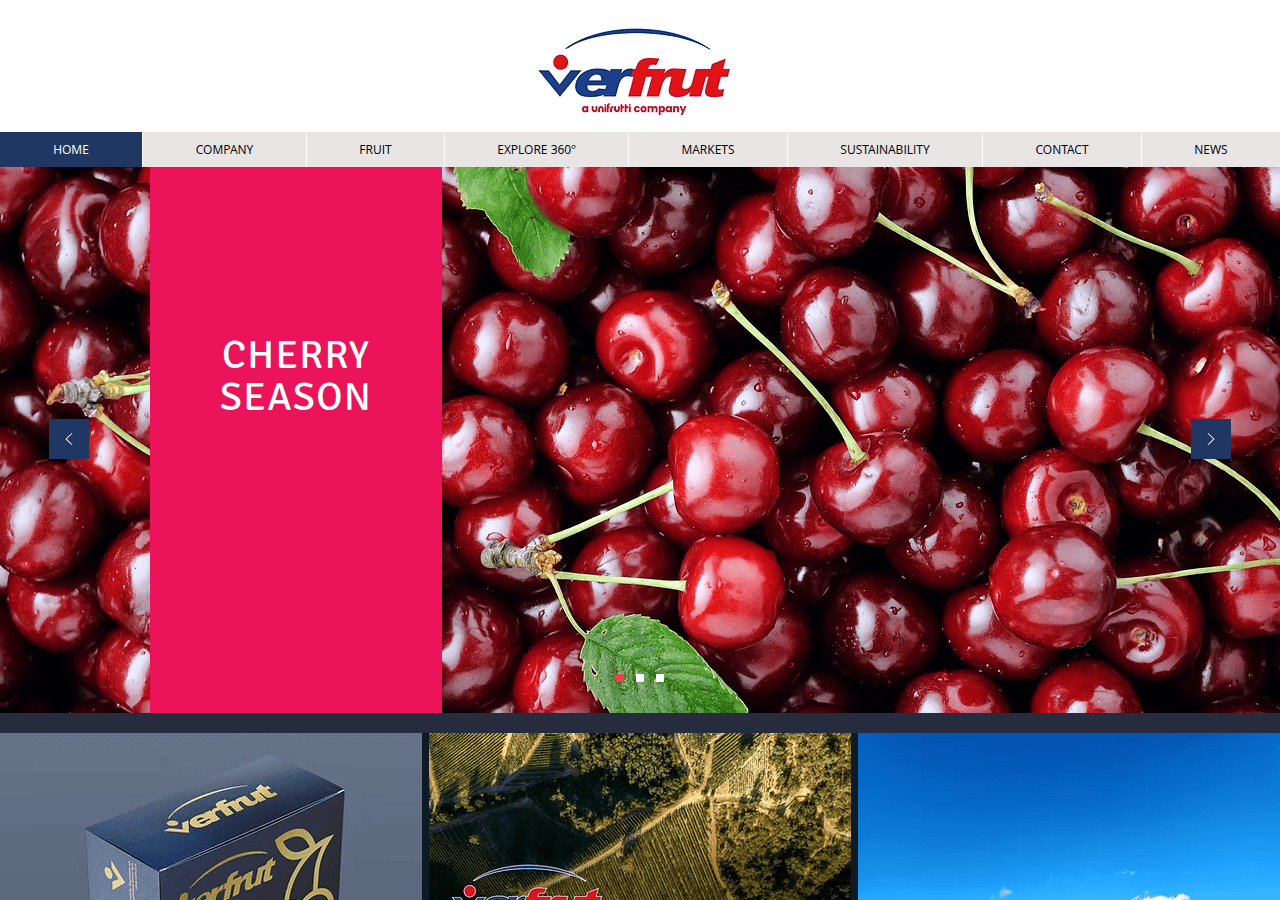 Screenshot of verfrut.cl