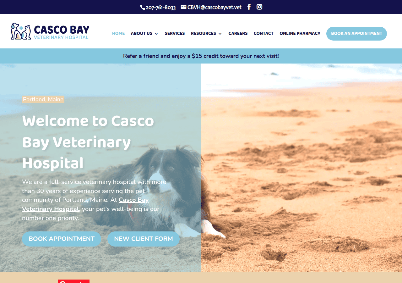 Screenshot of cascobayvet.com