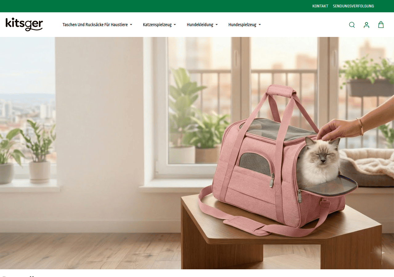 Screenshot of kitsger.com