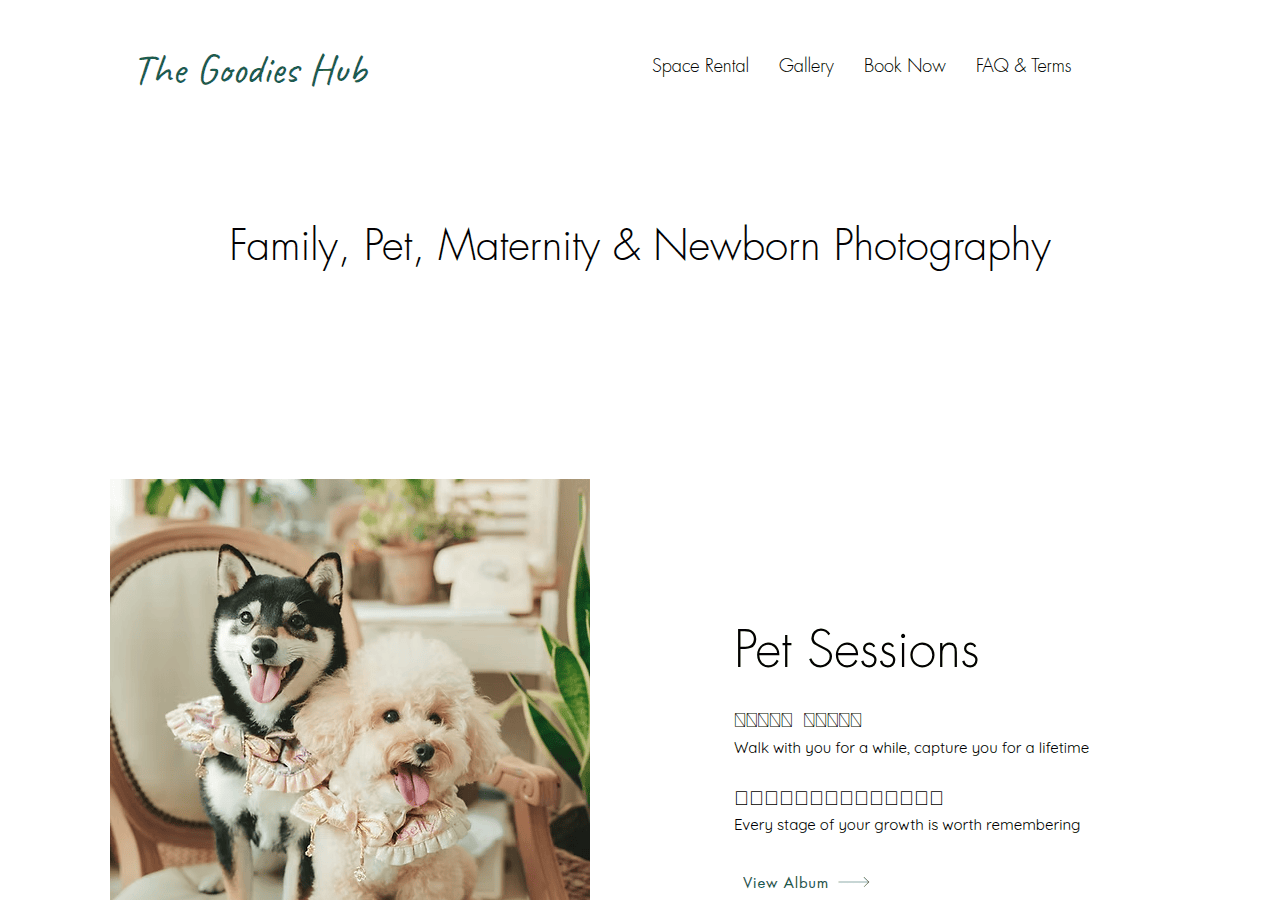 Screenshot of thegoodieshubhk.com