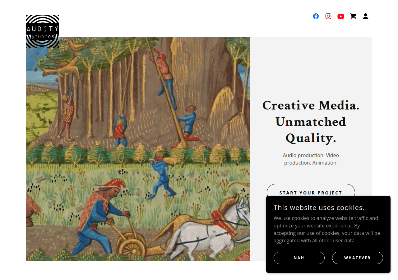 Screenshot of auditystudios.com