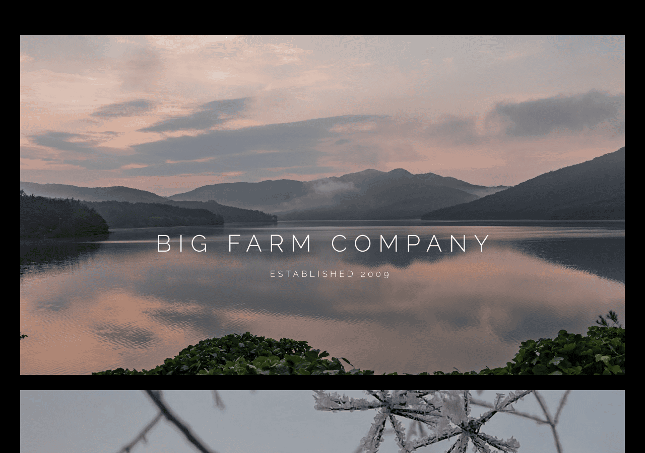 Screenshot of big-farm.com