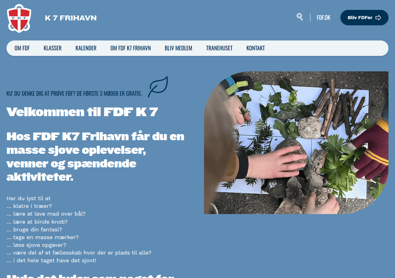 Screenshot of fdf.dk