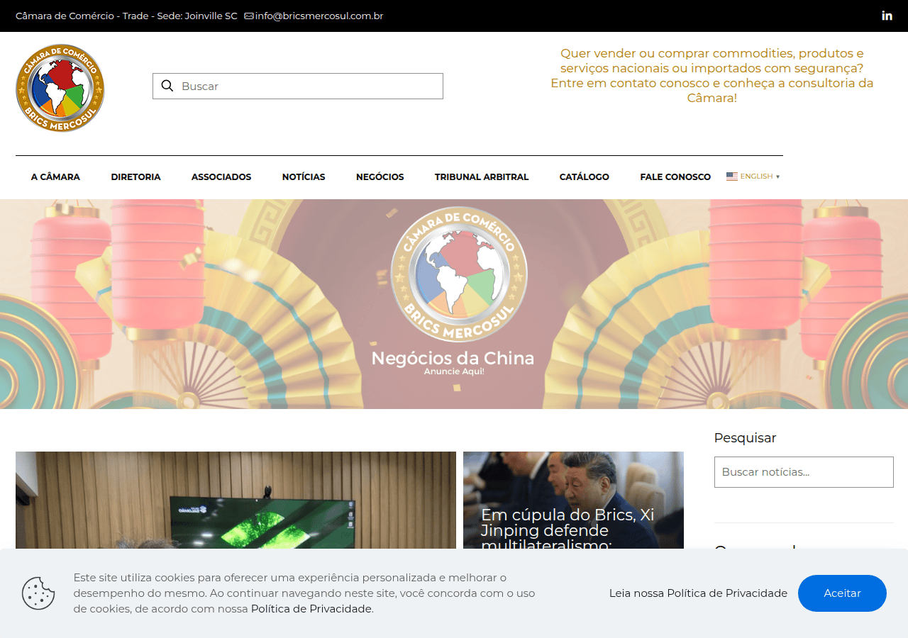 Screenshot of bricsmercosul.com.br