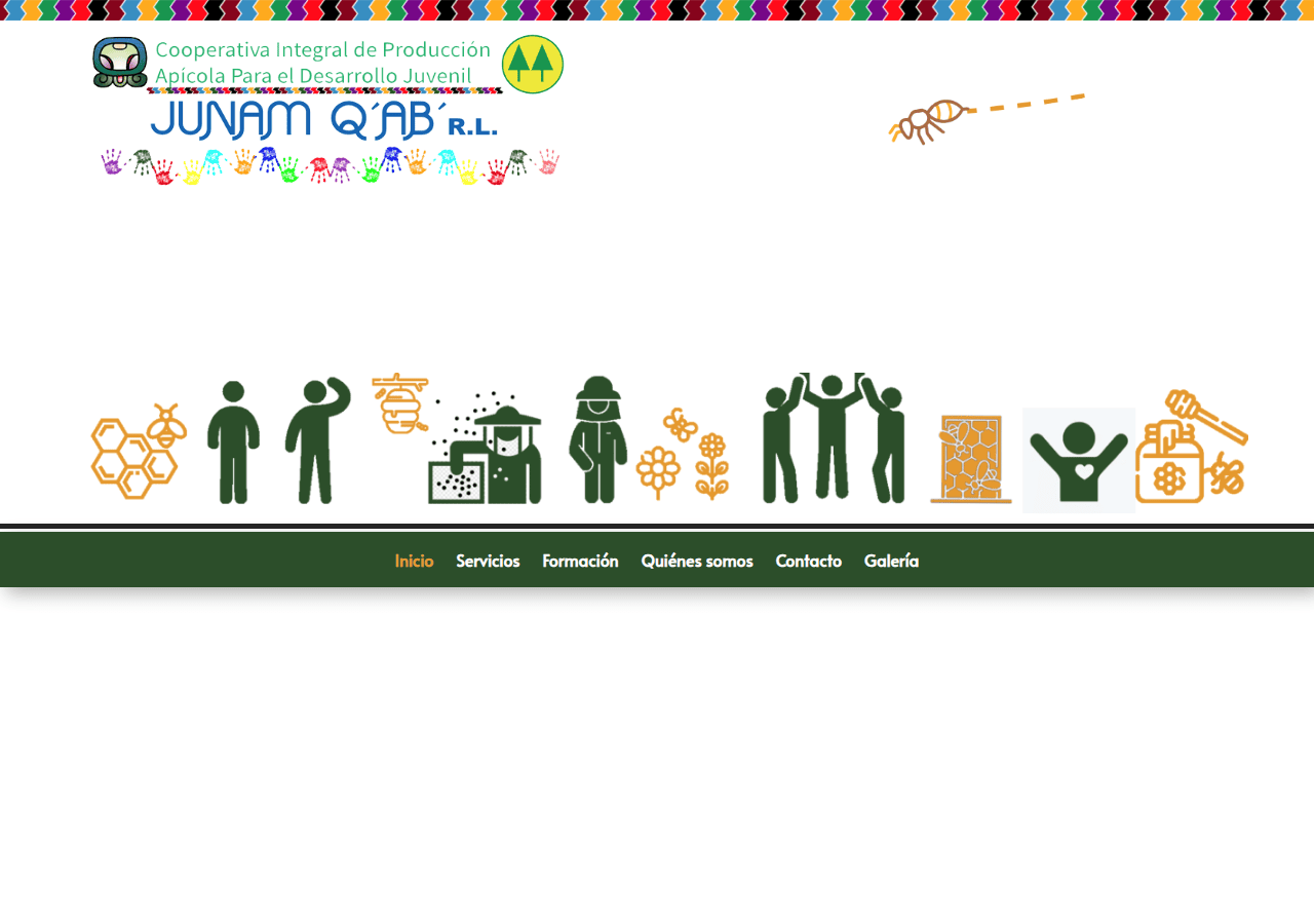 Screenshot of cooperativajunamqab.com
