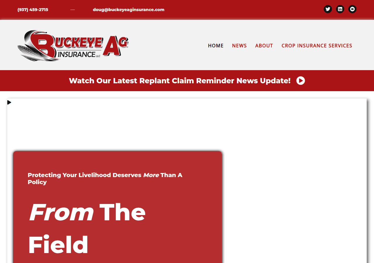 Screenshot of buckeyeaginsurance.com