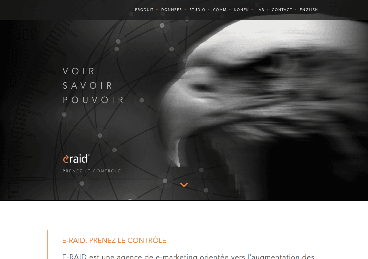 Screenshot of eraid.biz