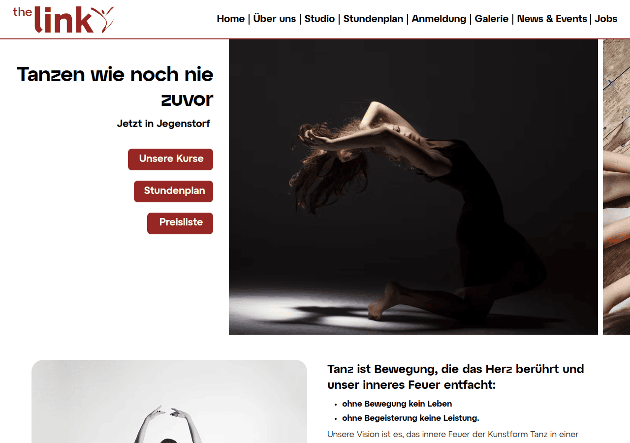 Screenshot of the-link.ch