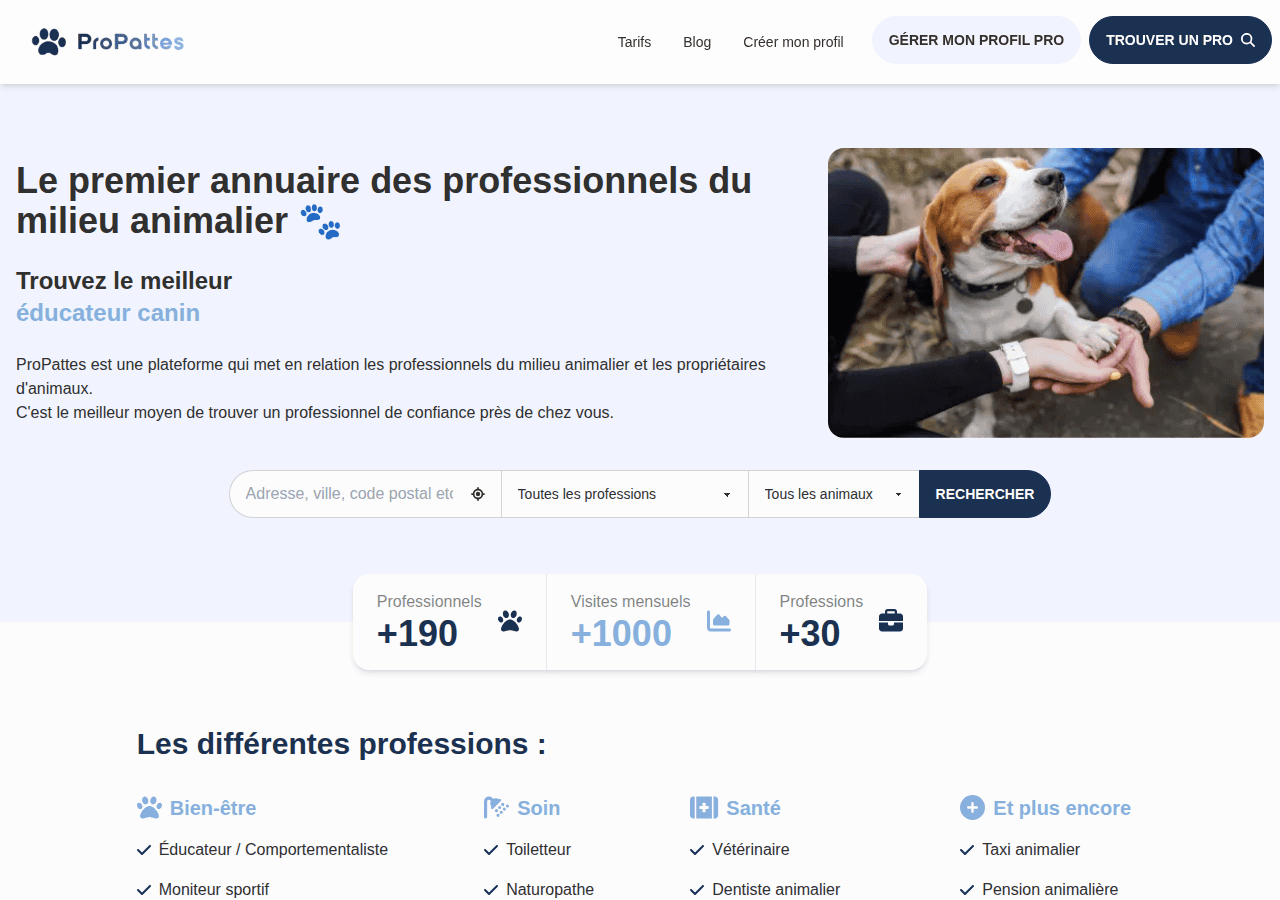 Screenshot of propattes.com