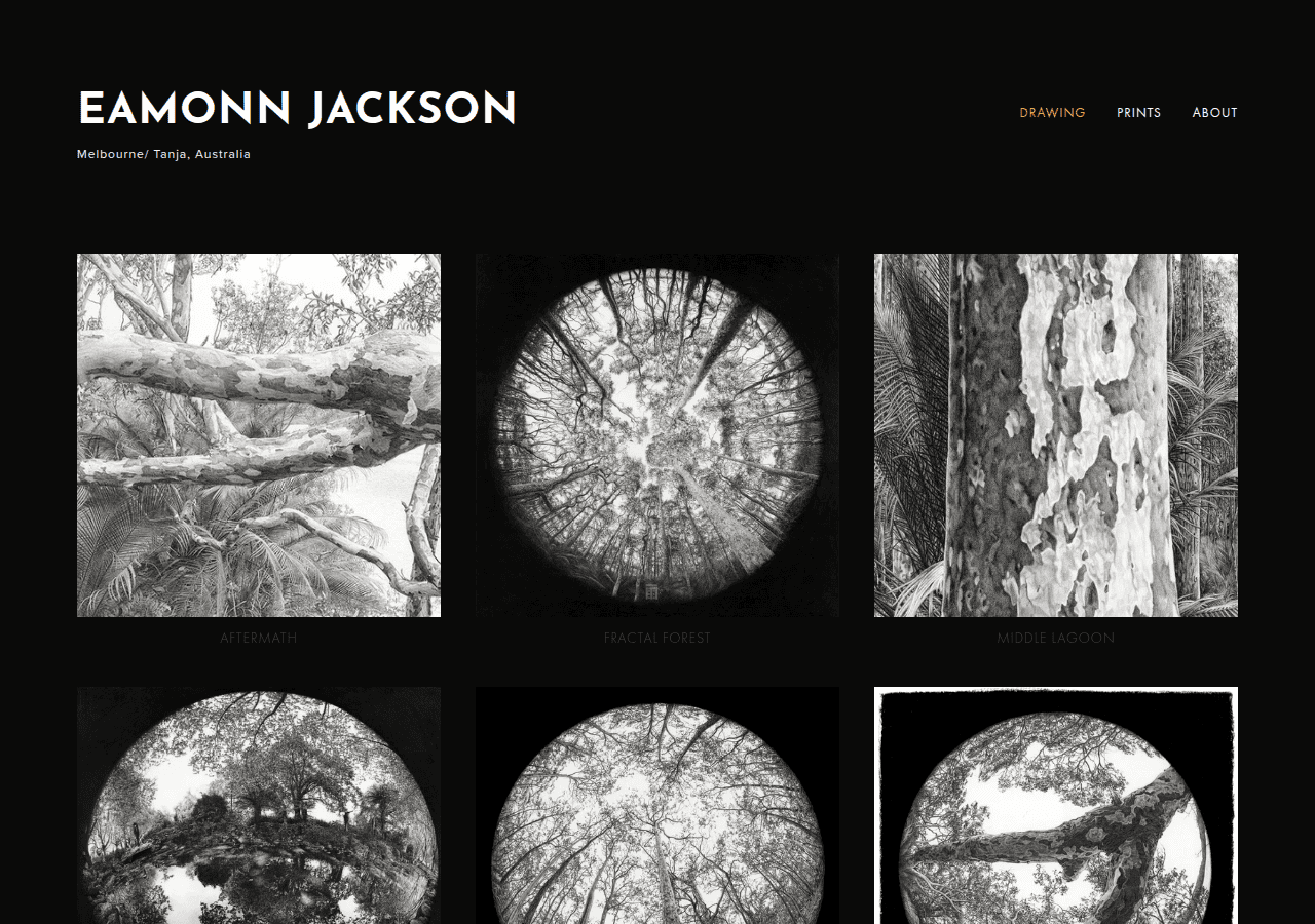 Screenshot of eamonnjacksonart.net