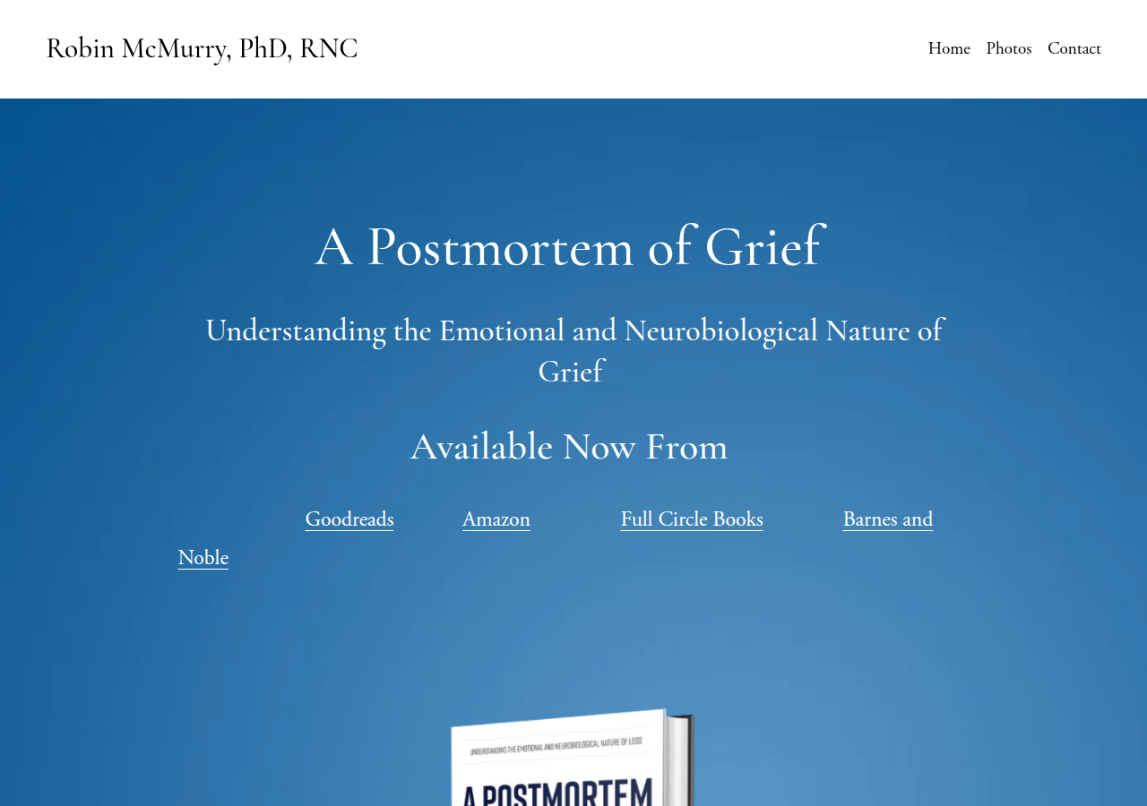 Screenshot of robinmcmurry.com